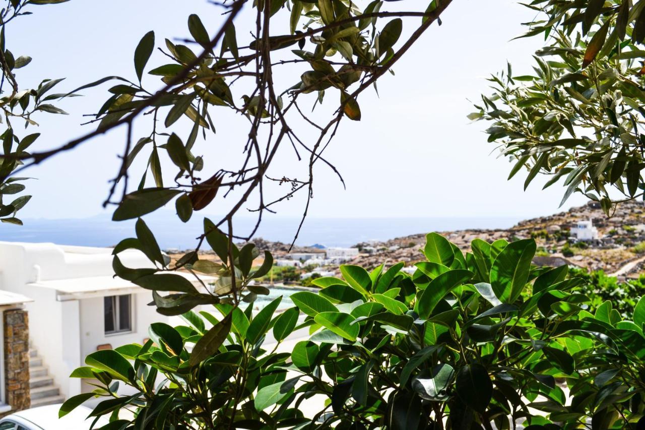 Elma'S Summerhouses Mykonos Town Eksteriør billede